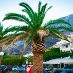 makarska