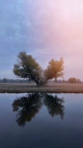 Fotografija učenika Ekonomske i upravne škole Osijek - 1. mjesto na međunarodnom dijelu DAM 2024 natjecanja u kategoriji fotografija (Teen)