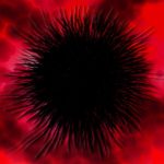 virus