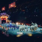 Cirkus